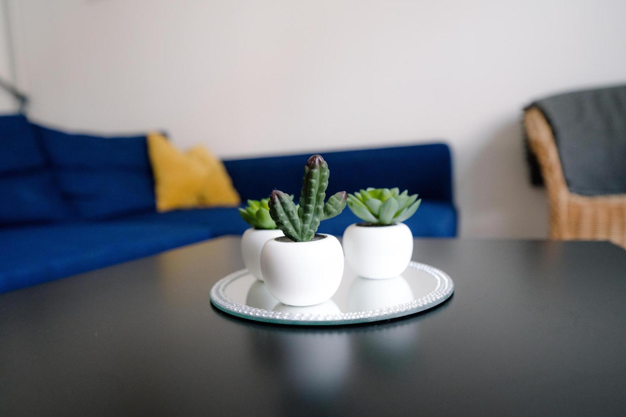 Restful Stay Apartment Grudziądz المظهر الخارجي الصورة